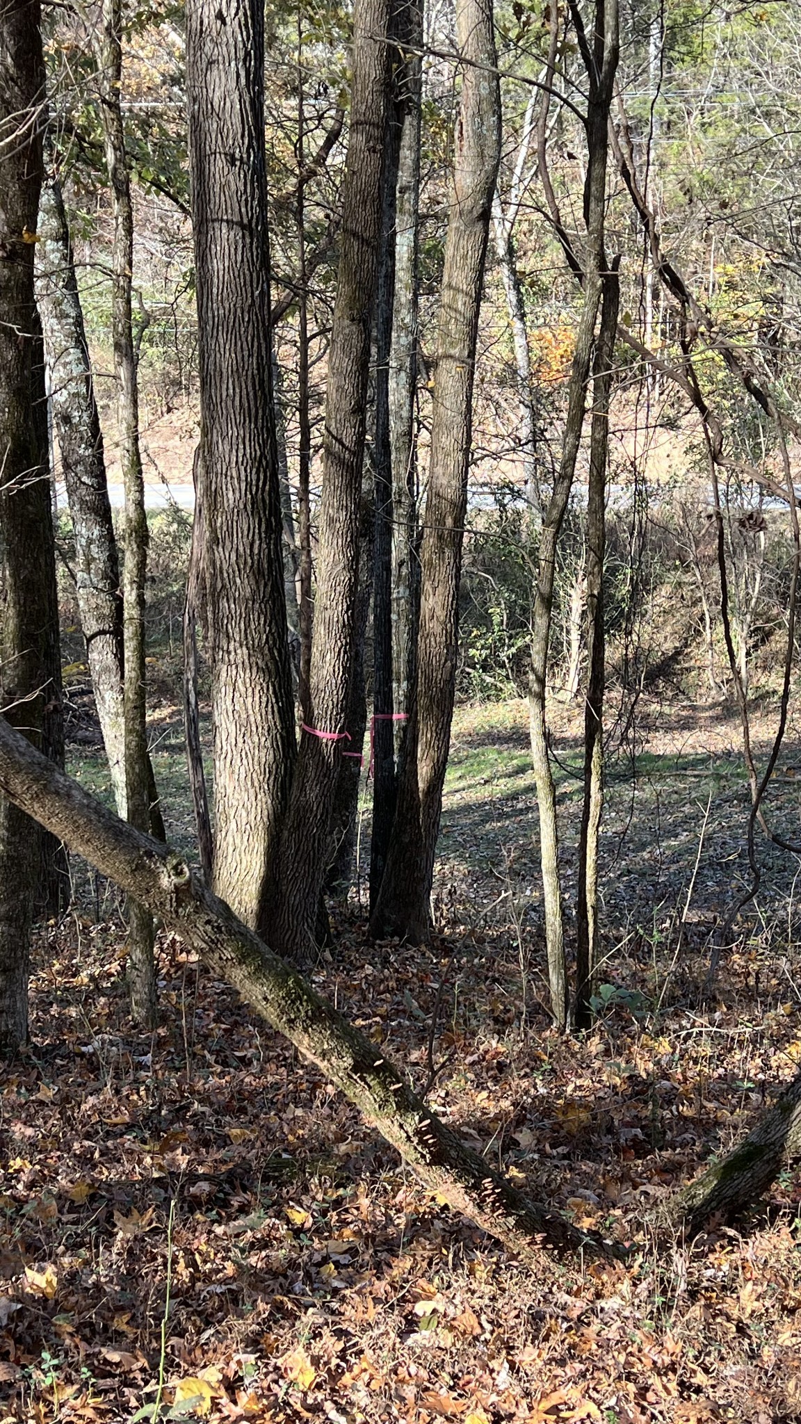 0 Cookeville Highway Elmwood TN 38560