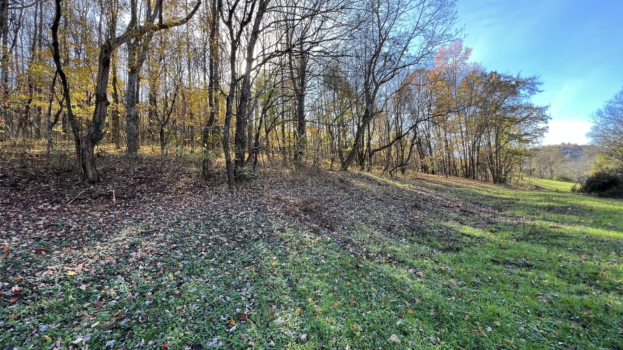 0 Cookeville Highway Elmwood TN 38560