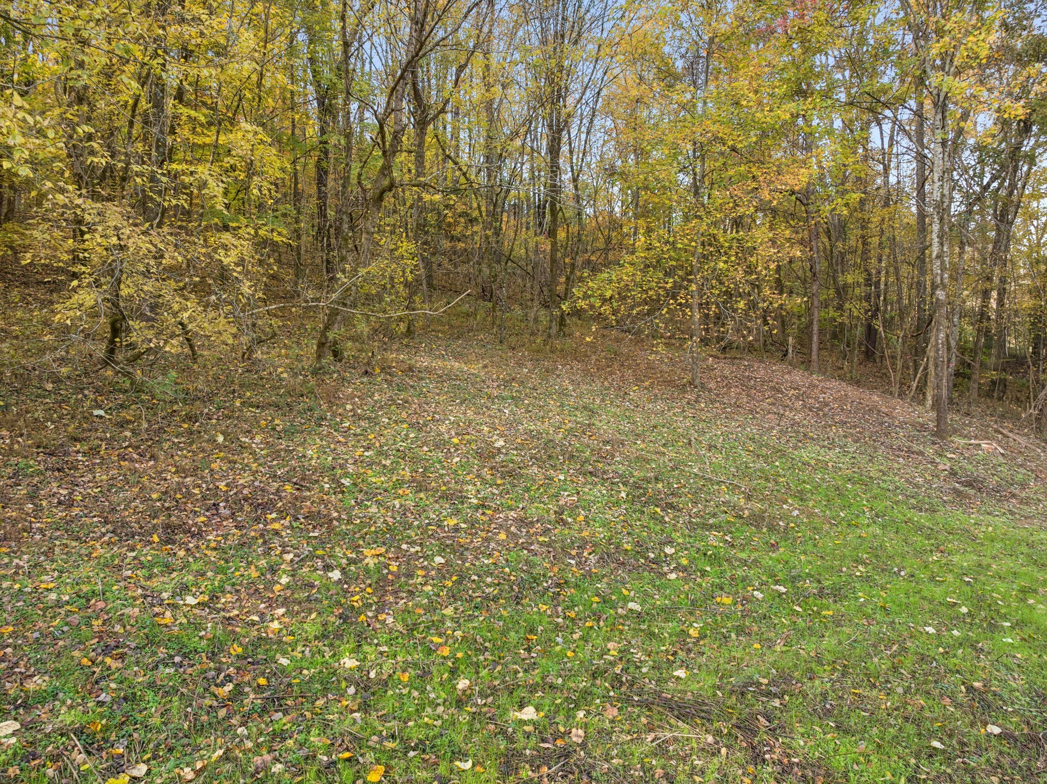 0 Cookeville Highway Elmwood TN 38560