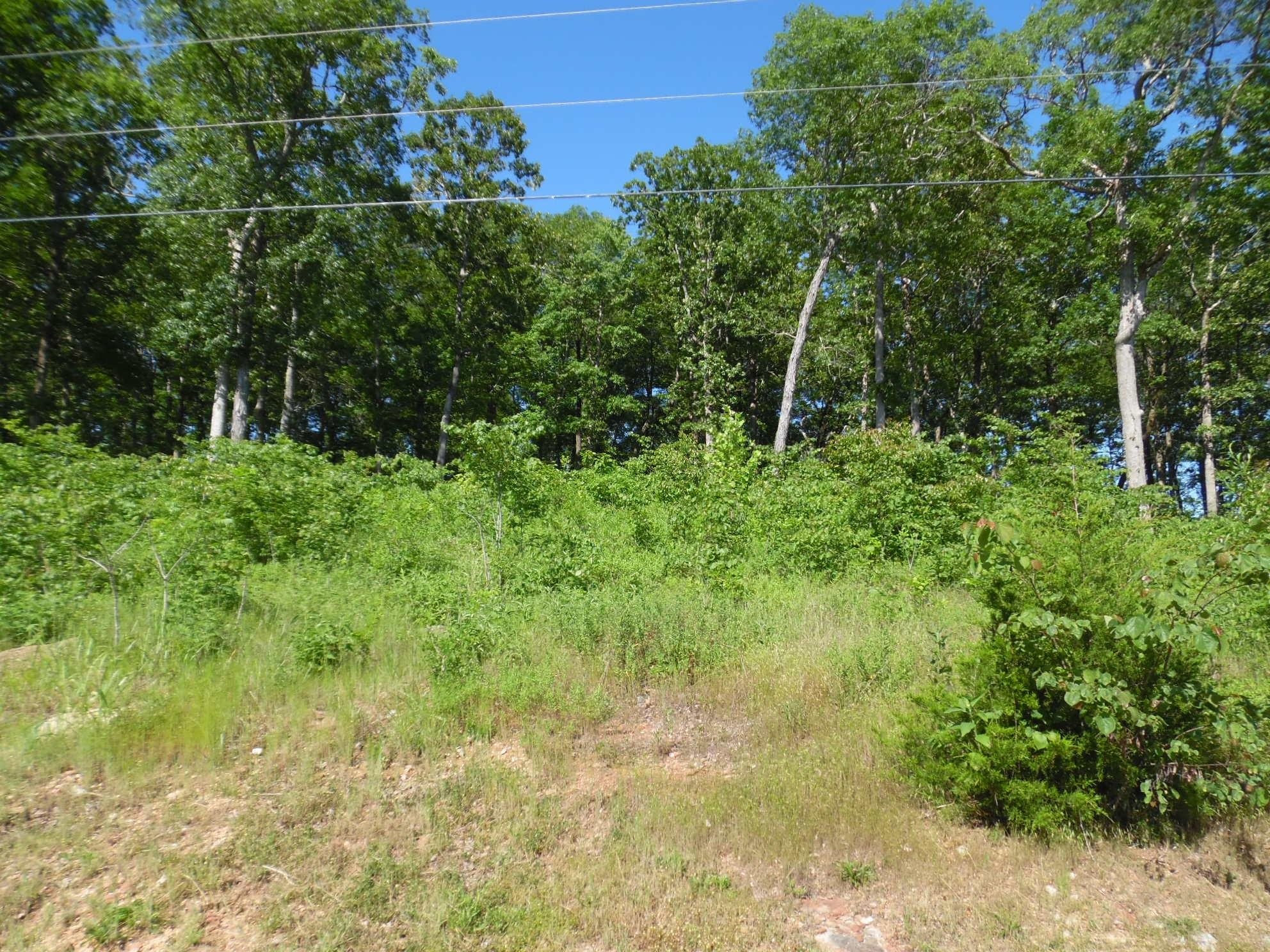 0 Adam Loop Bath Springs TN 38311