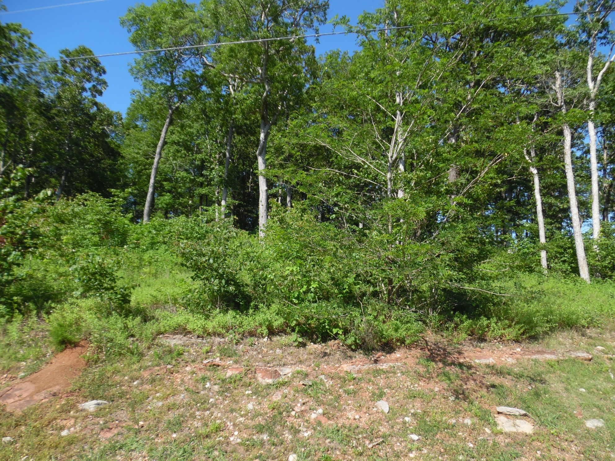0 Adam Loop Bath Springs TN 38311
