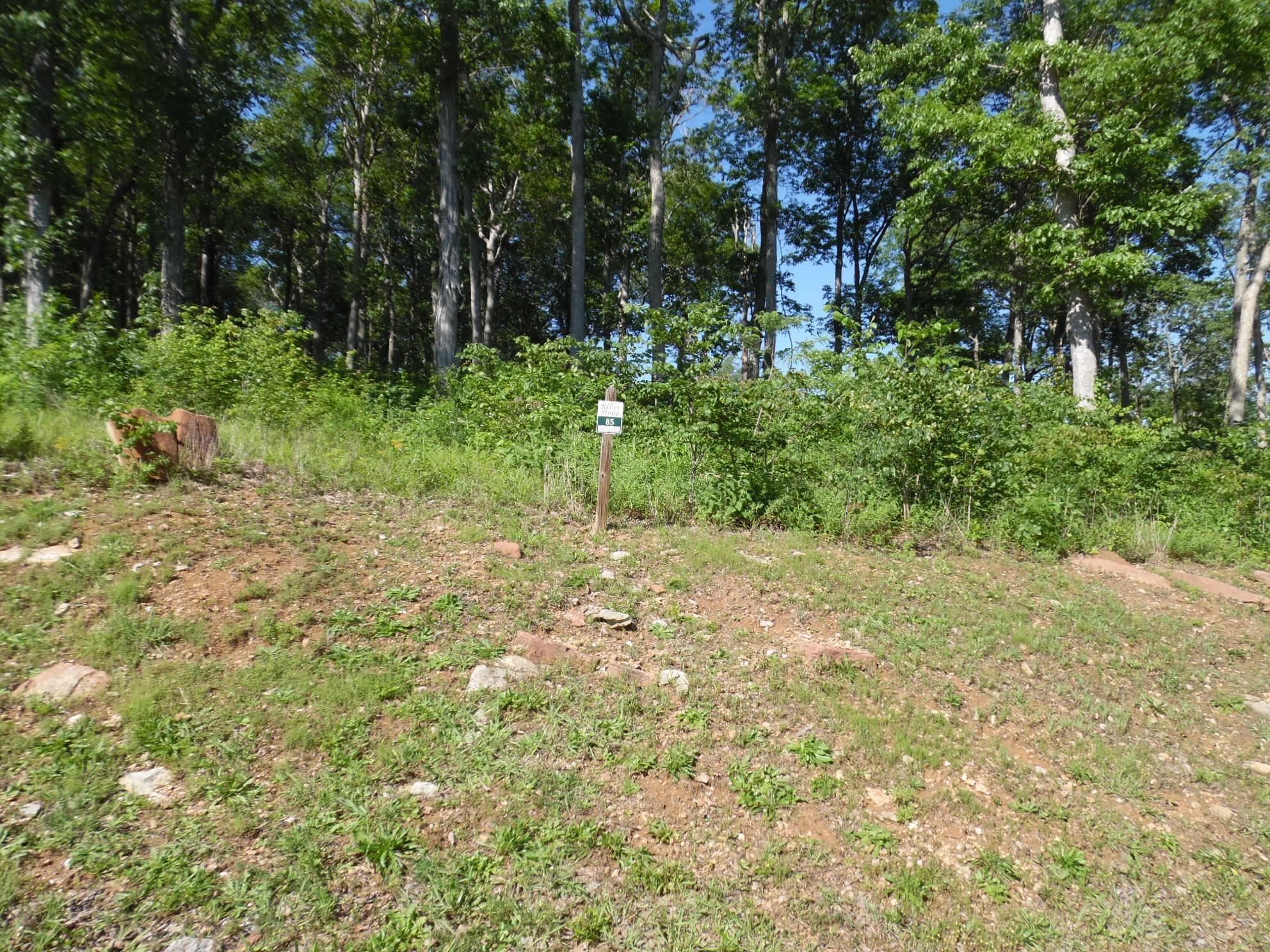 0 Adam Loop Bath Springs TN 38311