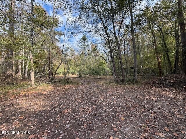 1446 Cove Lane Oliver Springs TN 37840