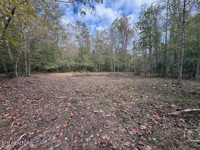 1446 Cove Lane Oliver Springs TN 37840