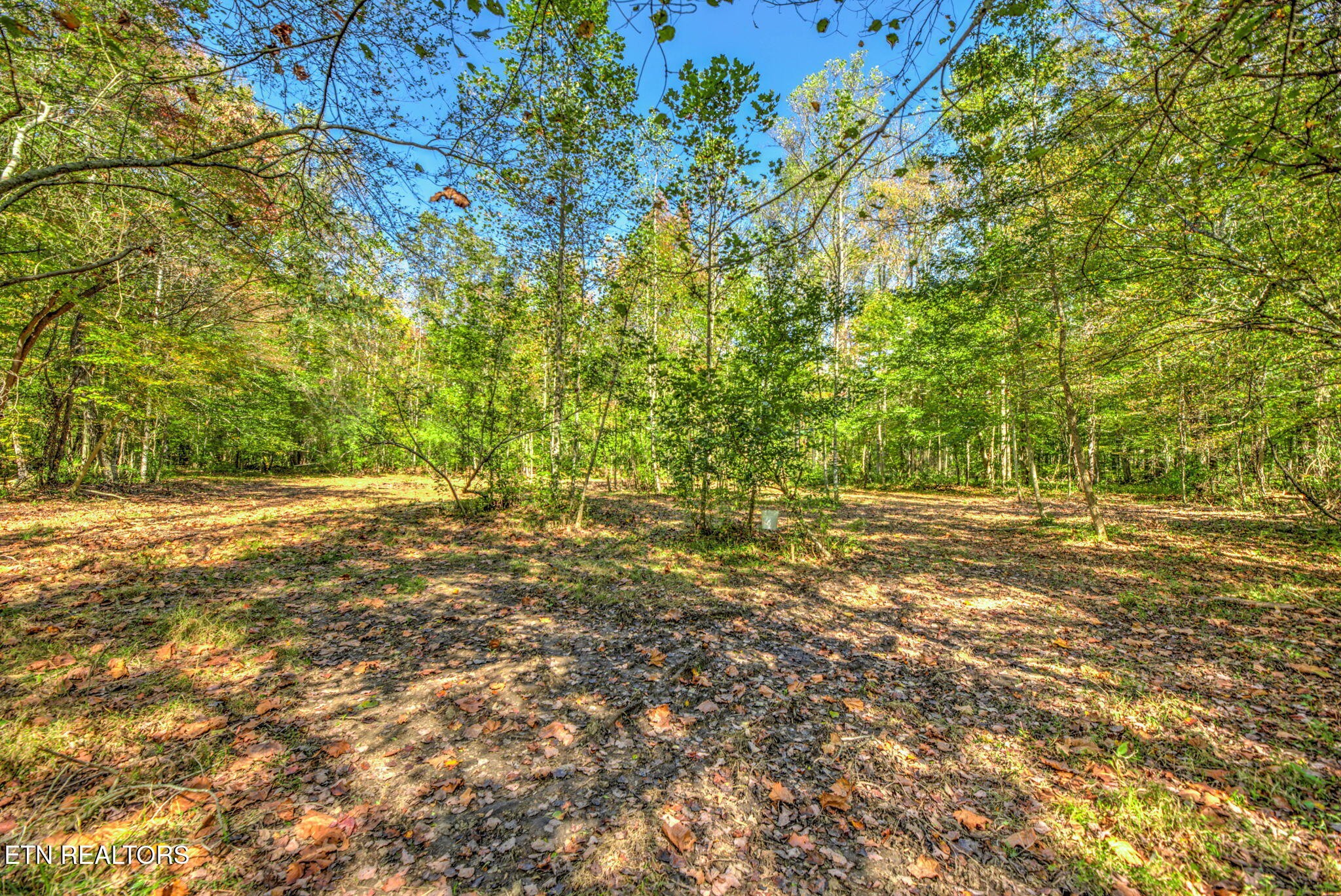 1446 Cove Lane Oliver Springs TN 37840