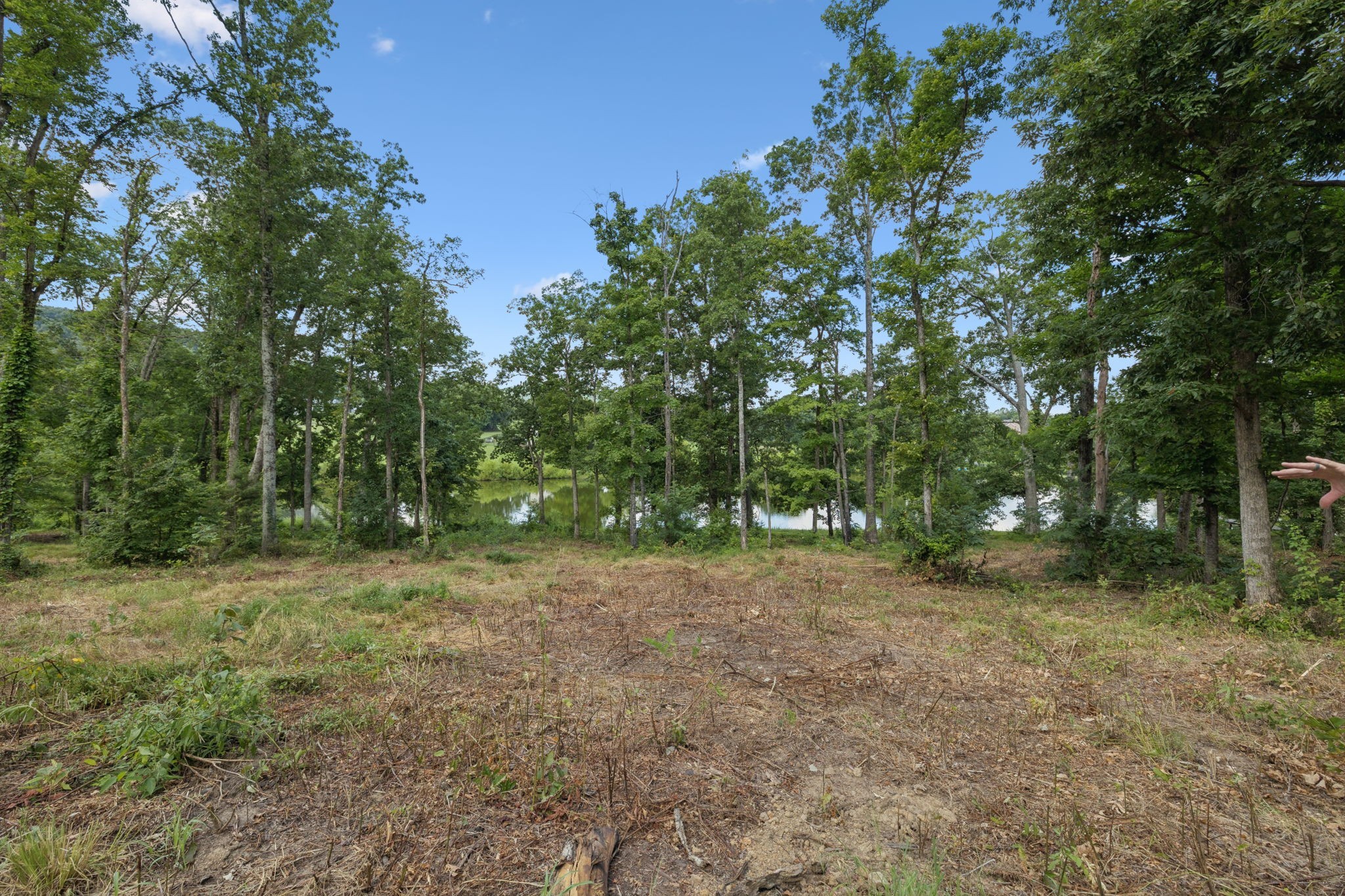 1411 Bell Meadow Court Nolensville TN 37135