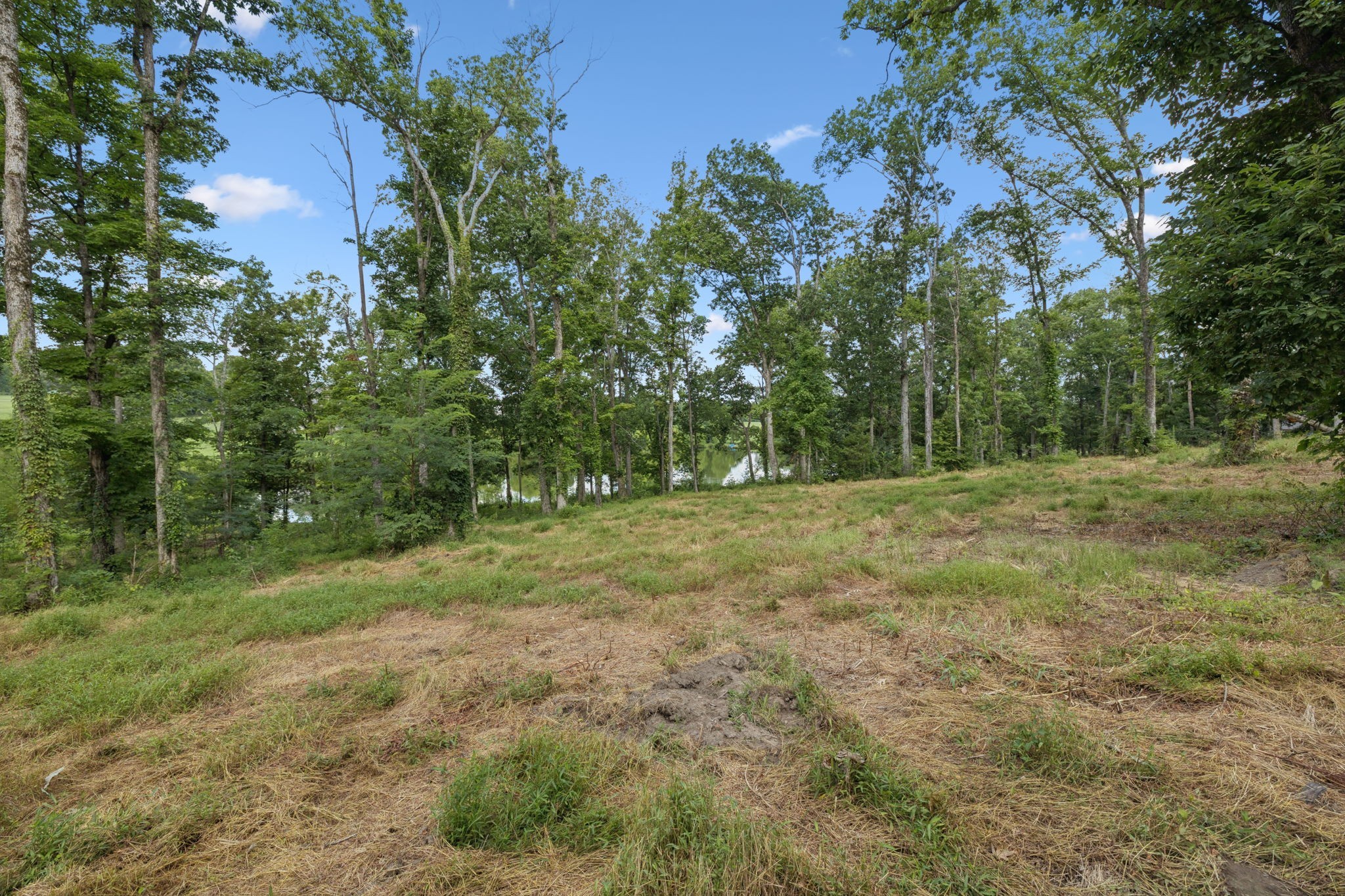 1411 Bell Meadow Court Nolensville TN 37135
