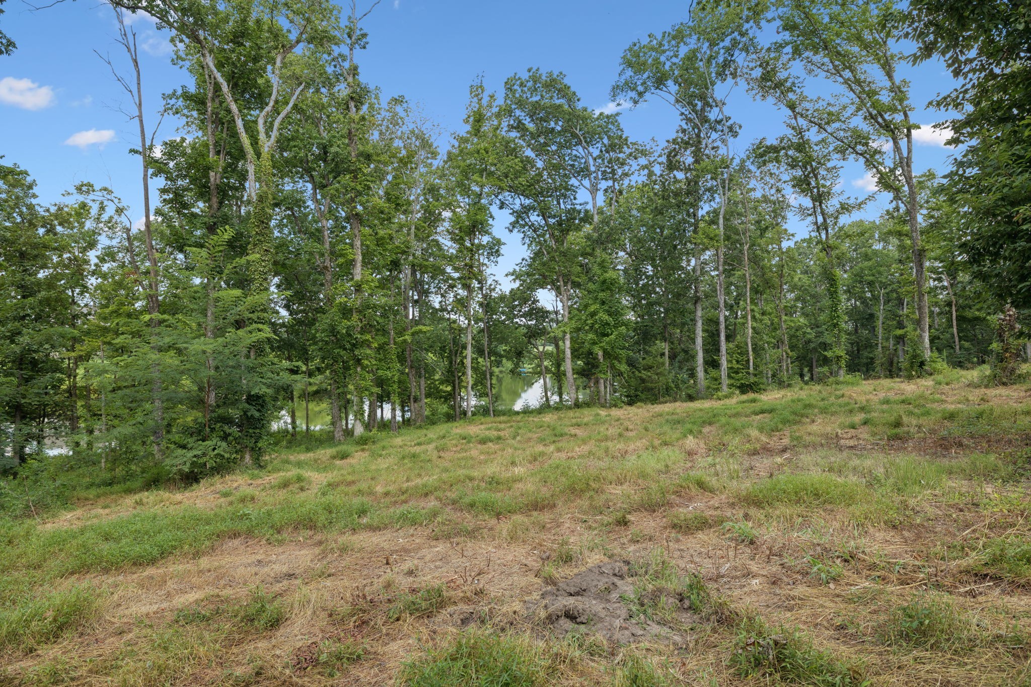 1411 Bell Meadow Court Nolensville TN 37135