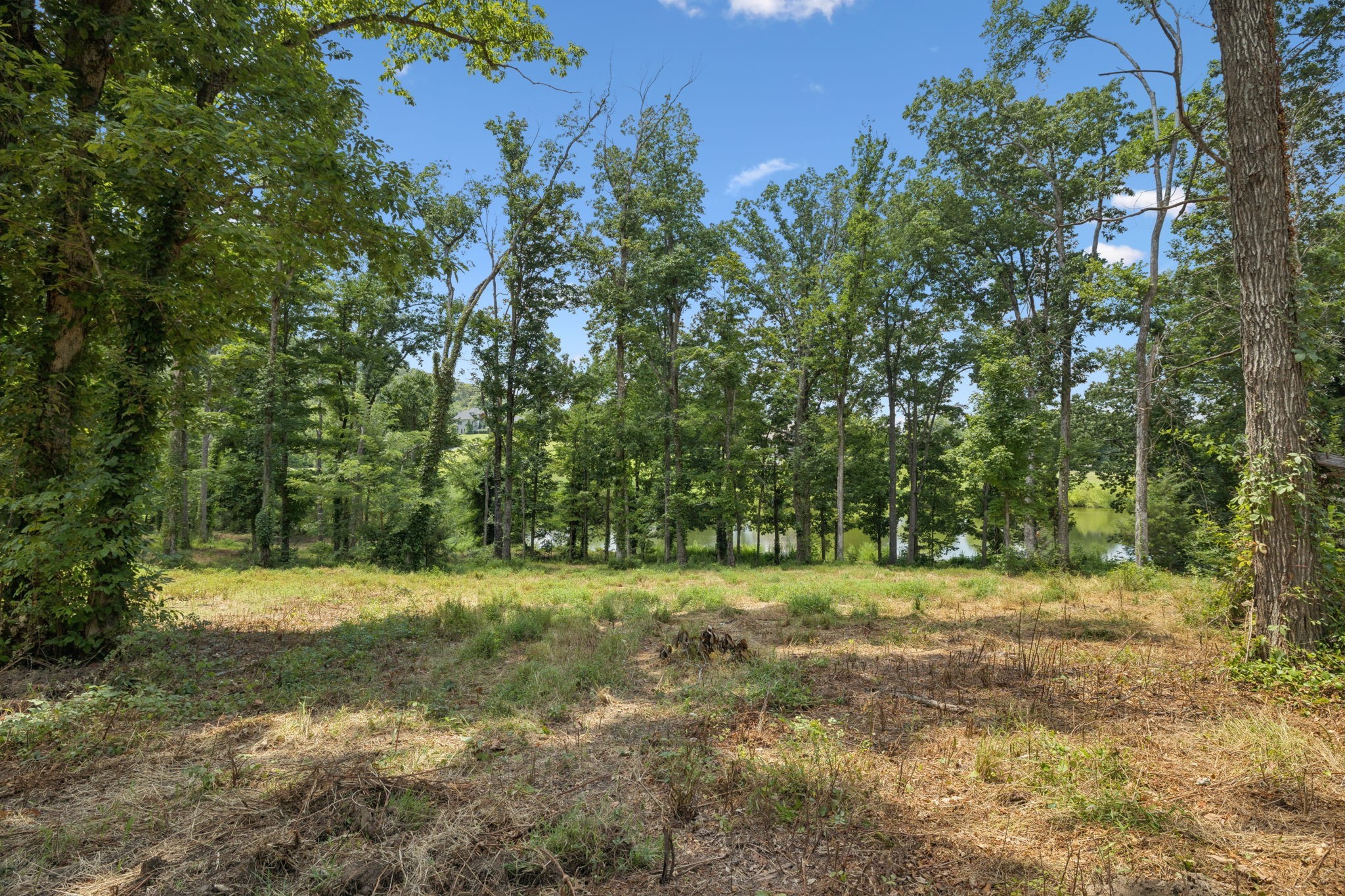 1411 Bell Meadow Court Nolensville TN 37135