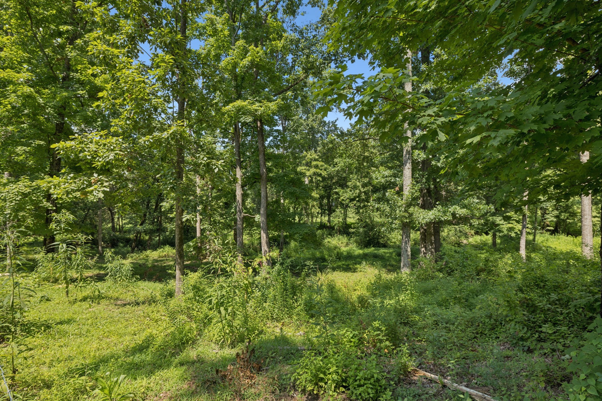 1411 Bell Meadow Court Nolensville TN 37135