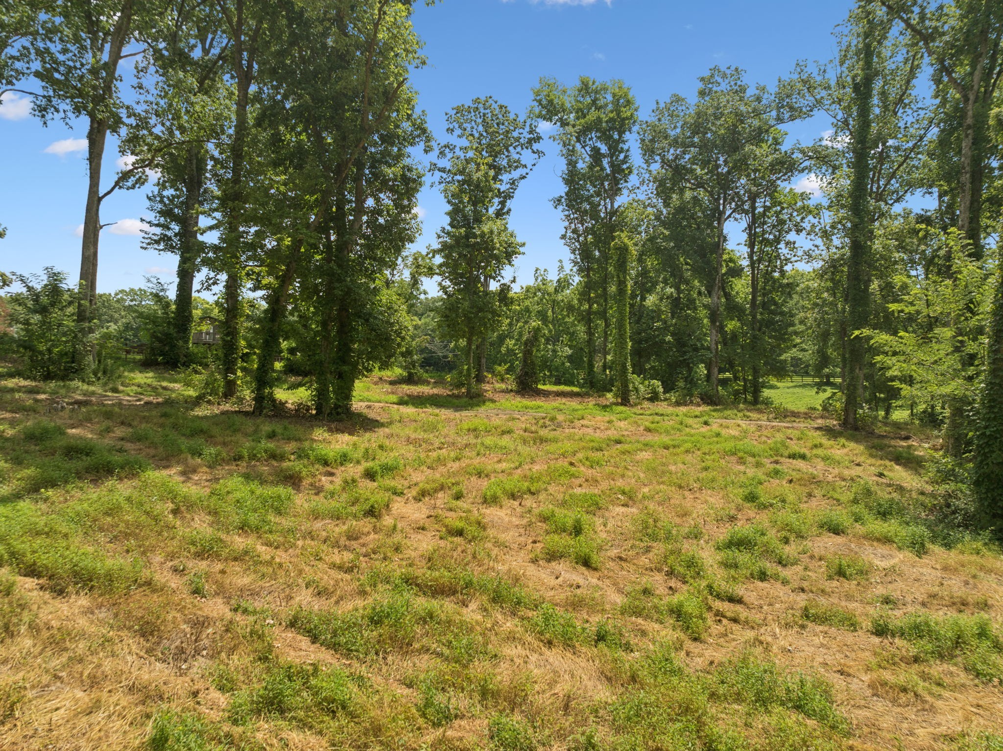1411 Bell Meadow Court Nolensville TN 37135