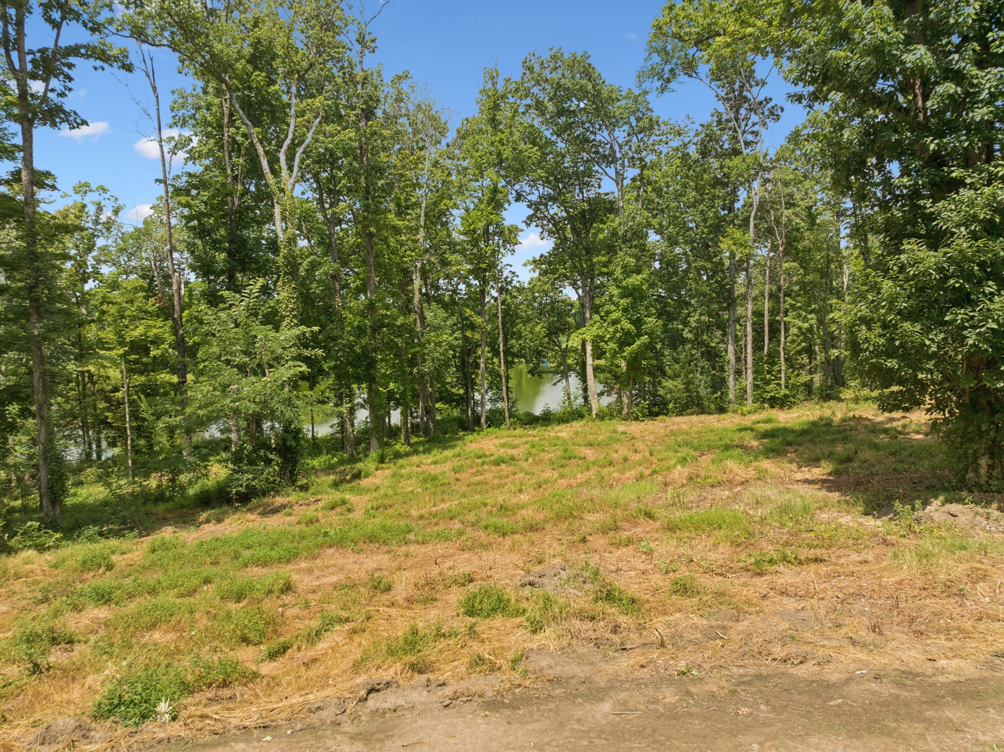 1411 Bell Meadow Court Nolensville TN 37135