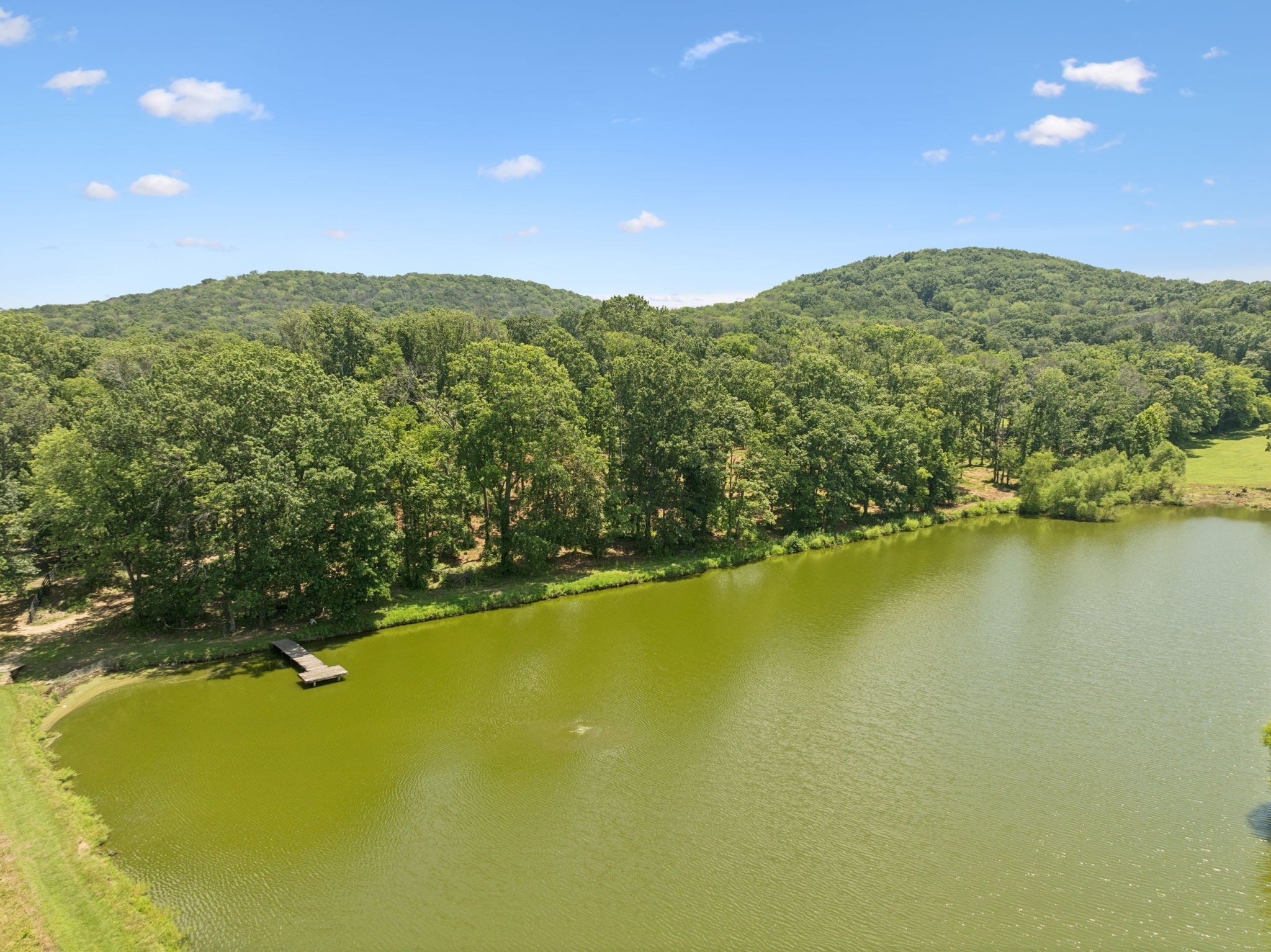 1411 Bell Meadow Court Nolensville TN 37135