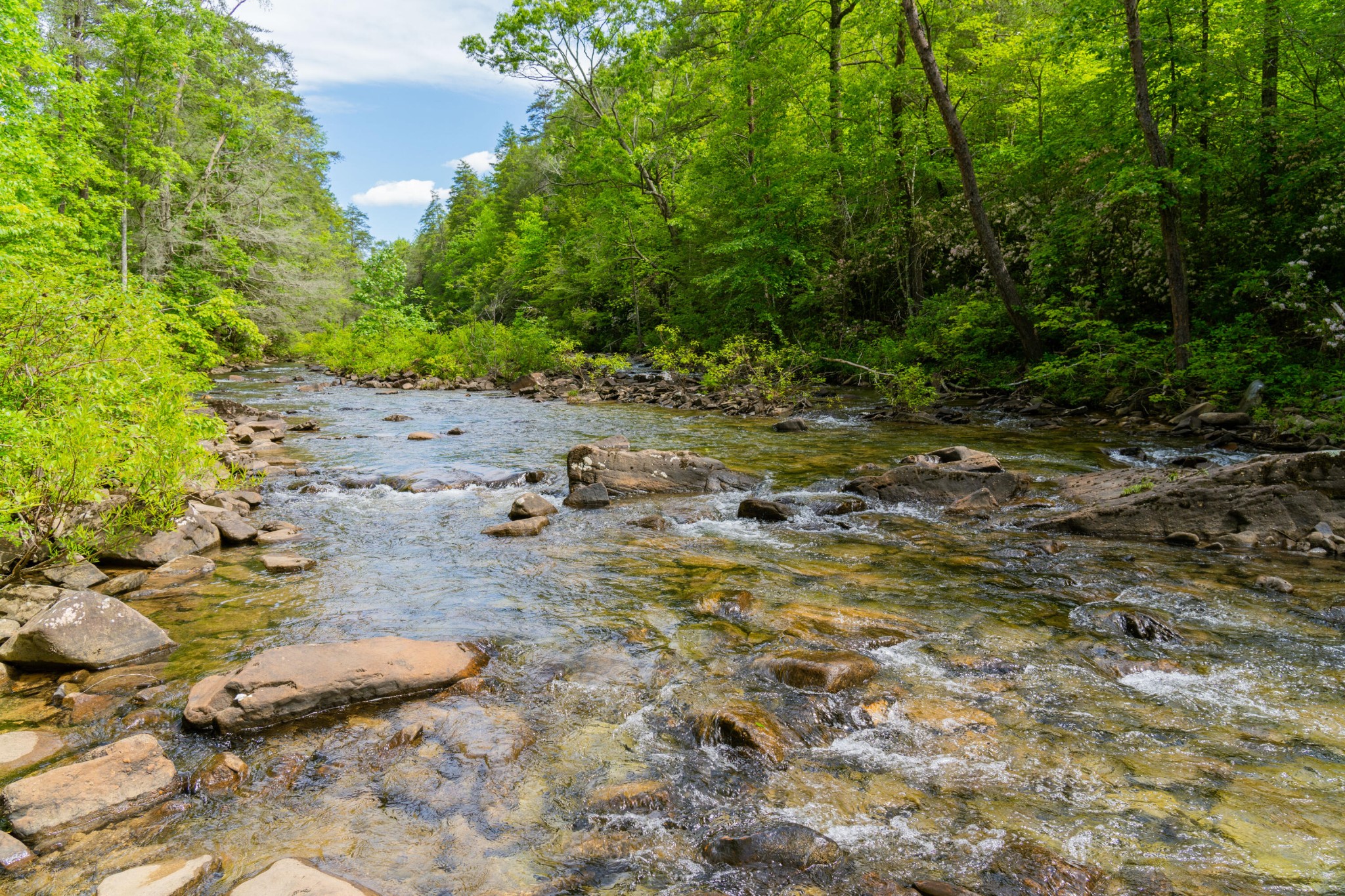 0 Echo Point Road Dunlap TN 37327