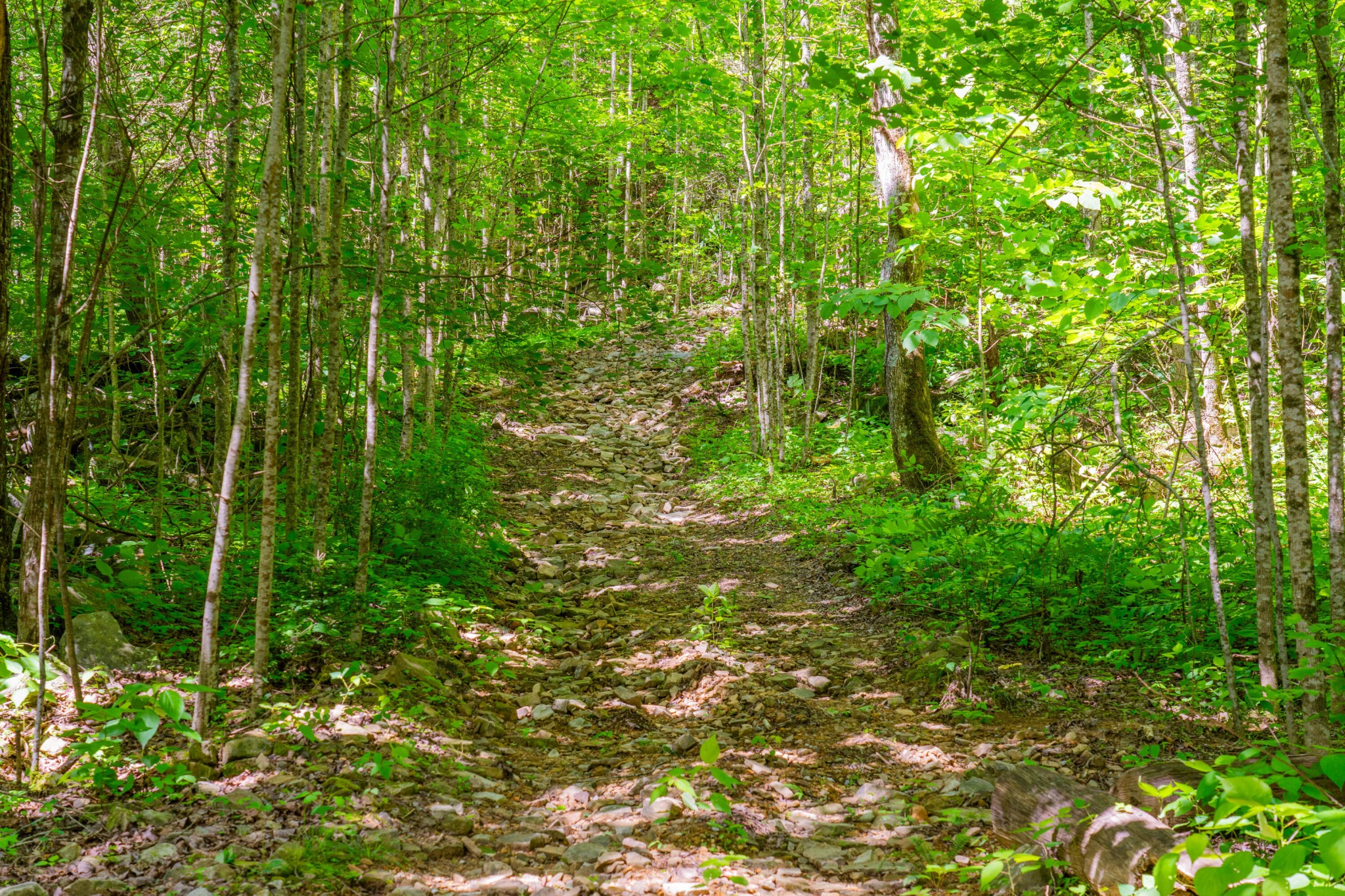 0 Echo Point Road Dunlap TN 37327