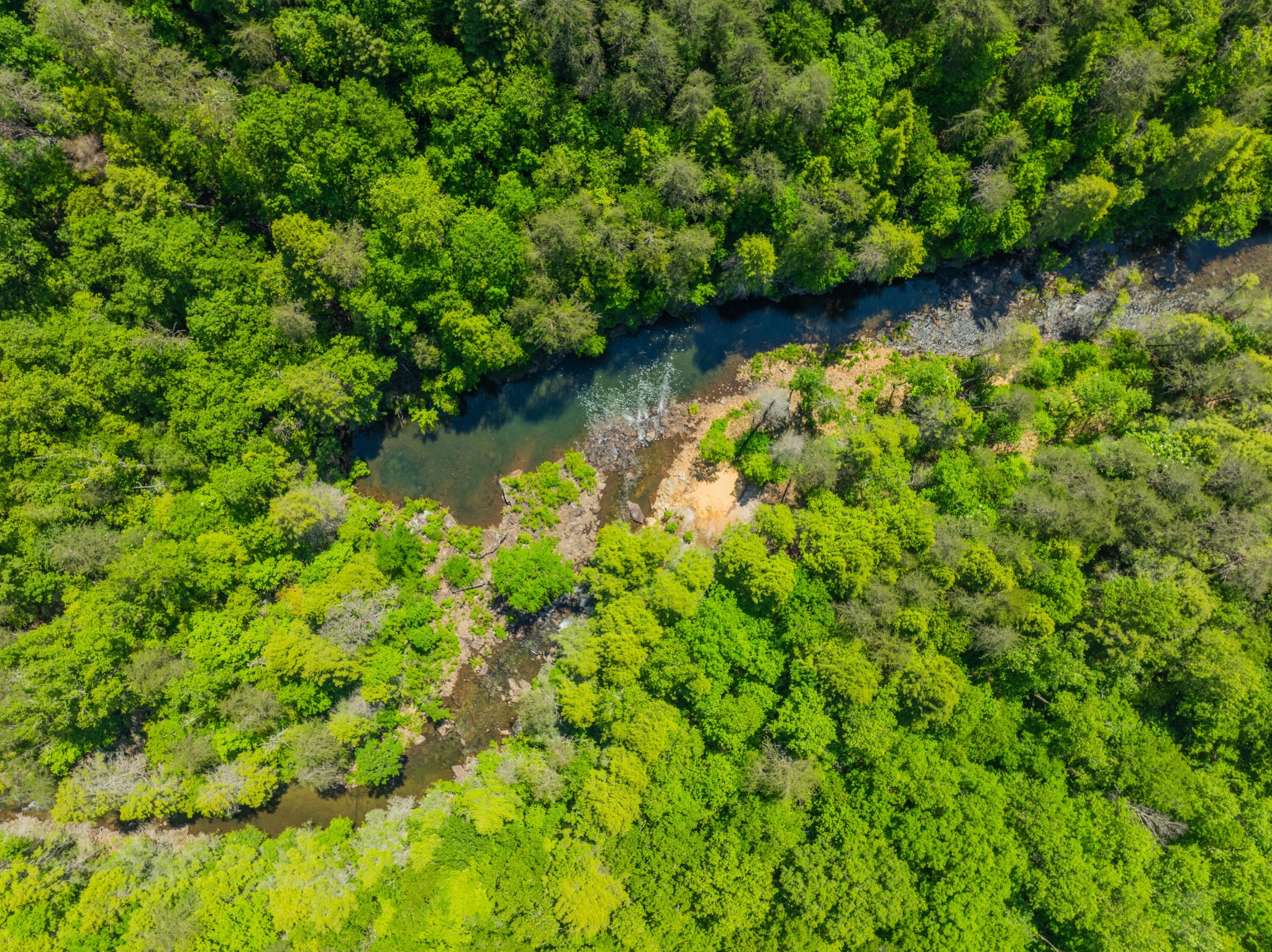0 Echo Point Road Dunlap TN 37327