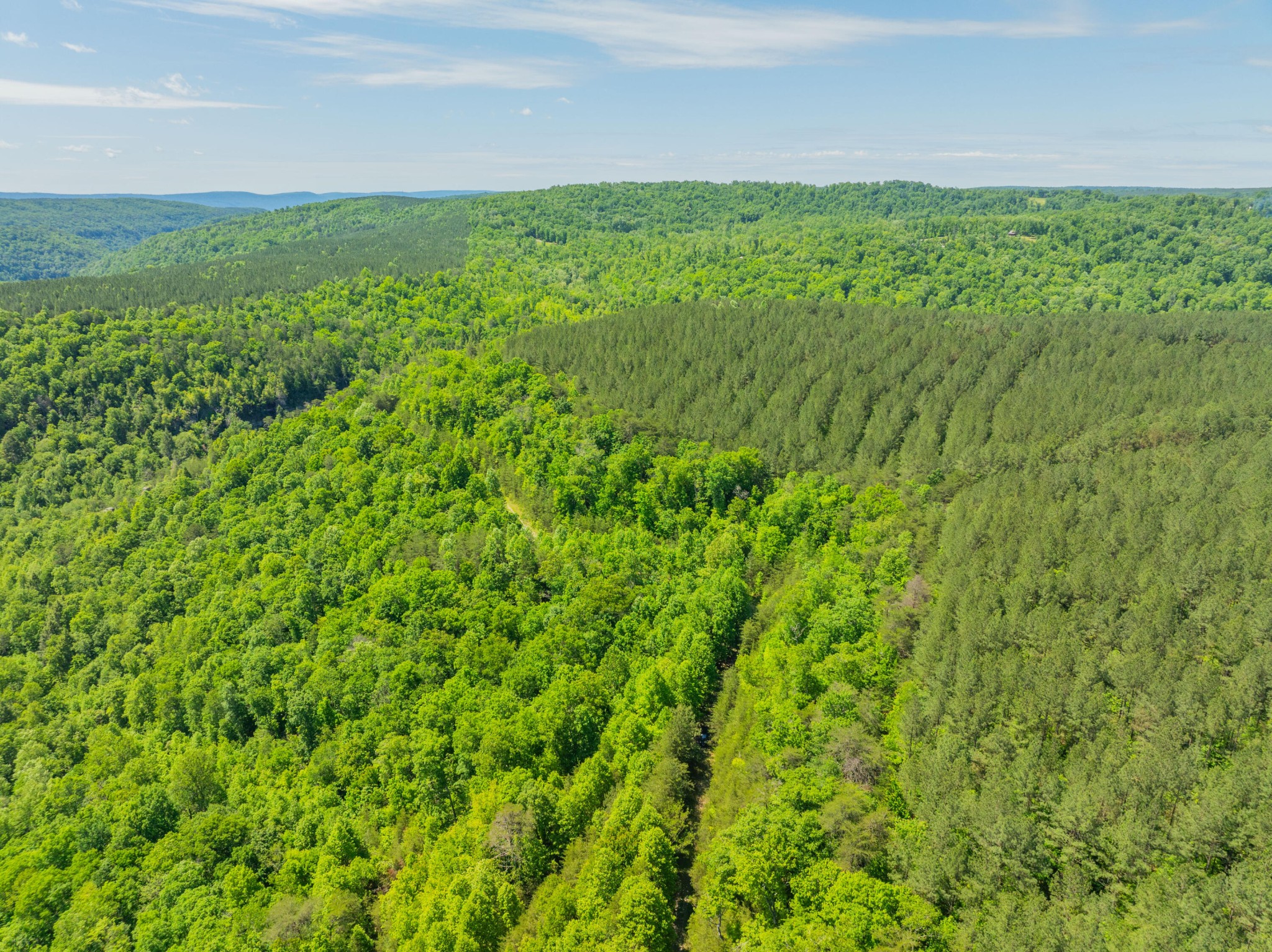 0 Echo Point Road Dunlap TN 37327