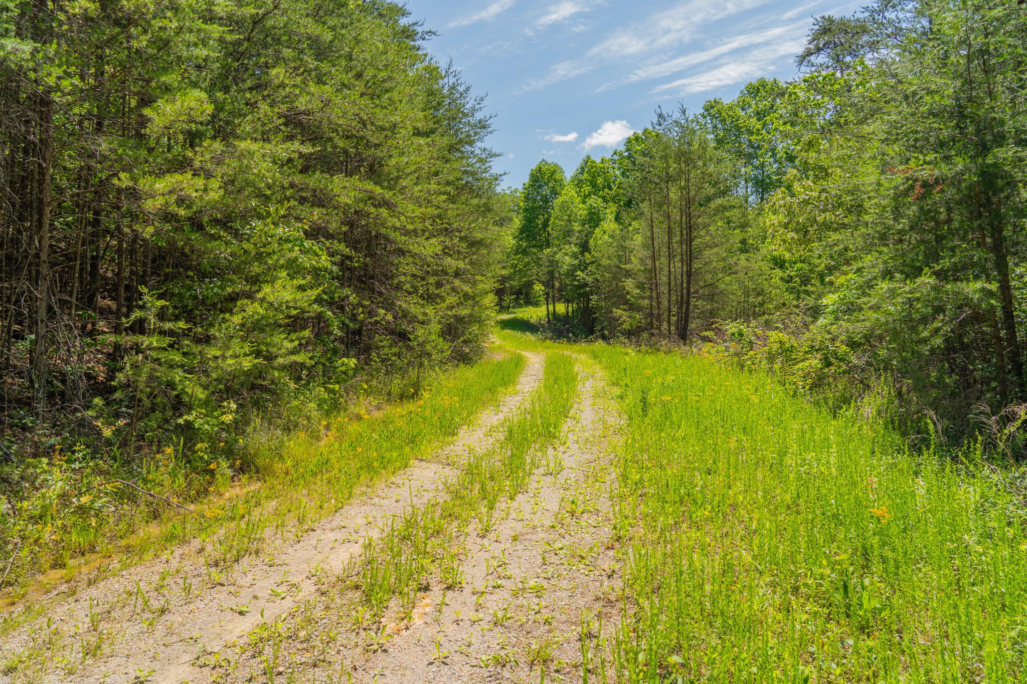 0 Echo Point Road Dunlap TN 37327
