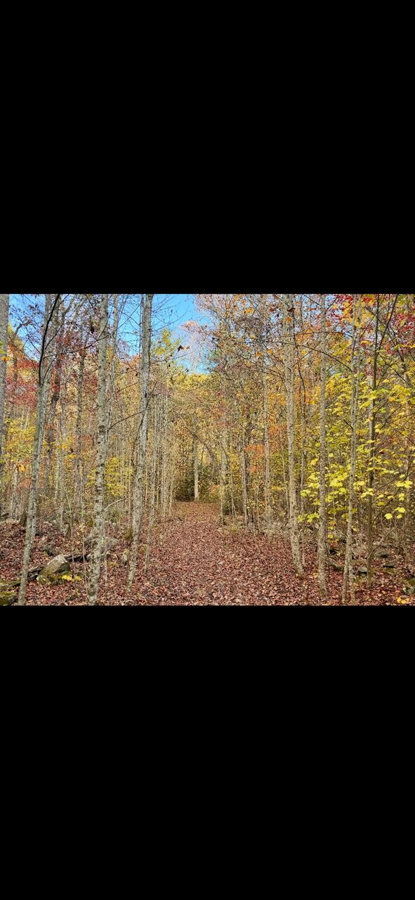 0 Echo Point Road Dunlap TN 37327