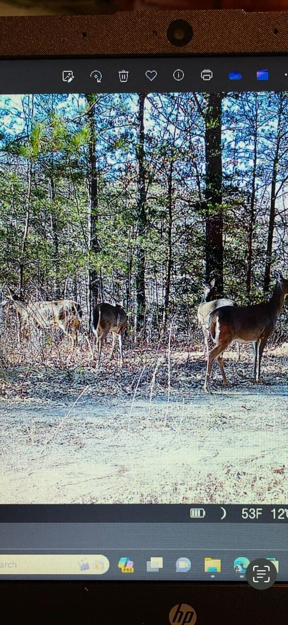 0 Echo Point Road Dunlap TN 37327