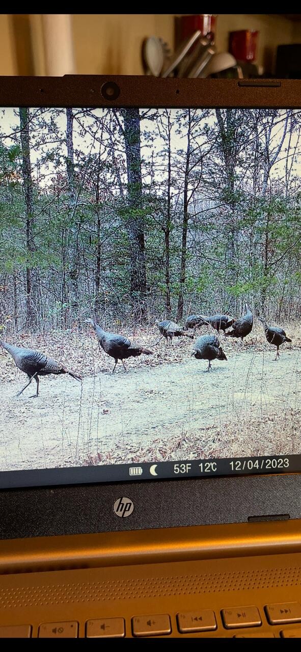 0 Echo Point Road Dunlap TN 37327