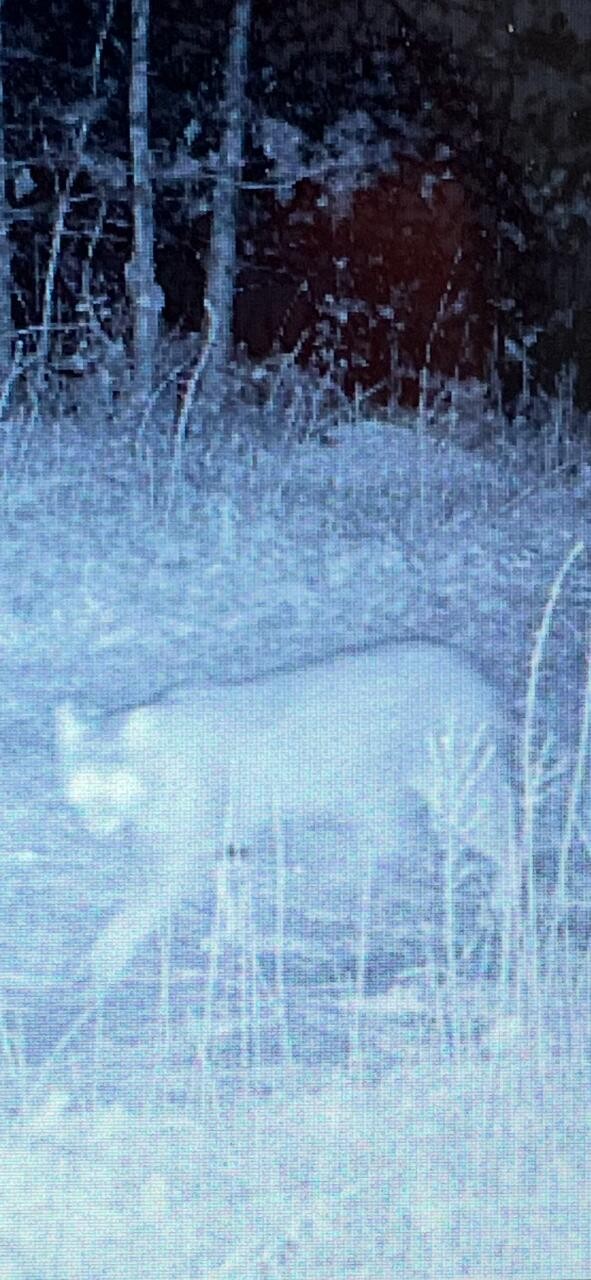 0 Echo Point Road Dunlap TN 37327