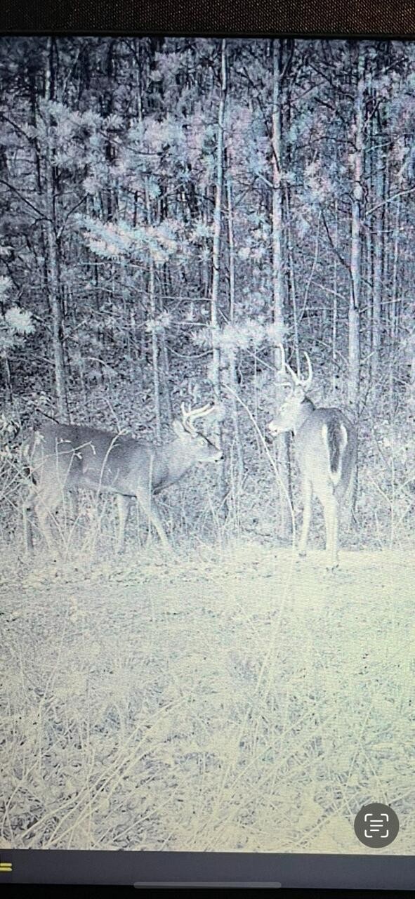 0 Echo Point Road Dunlap TN 37327