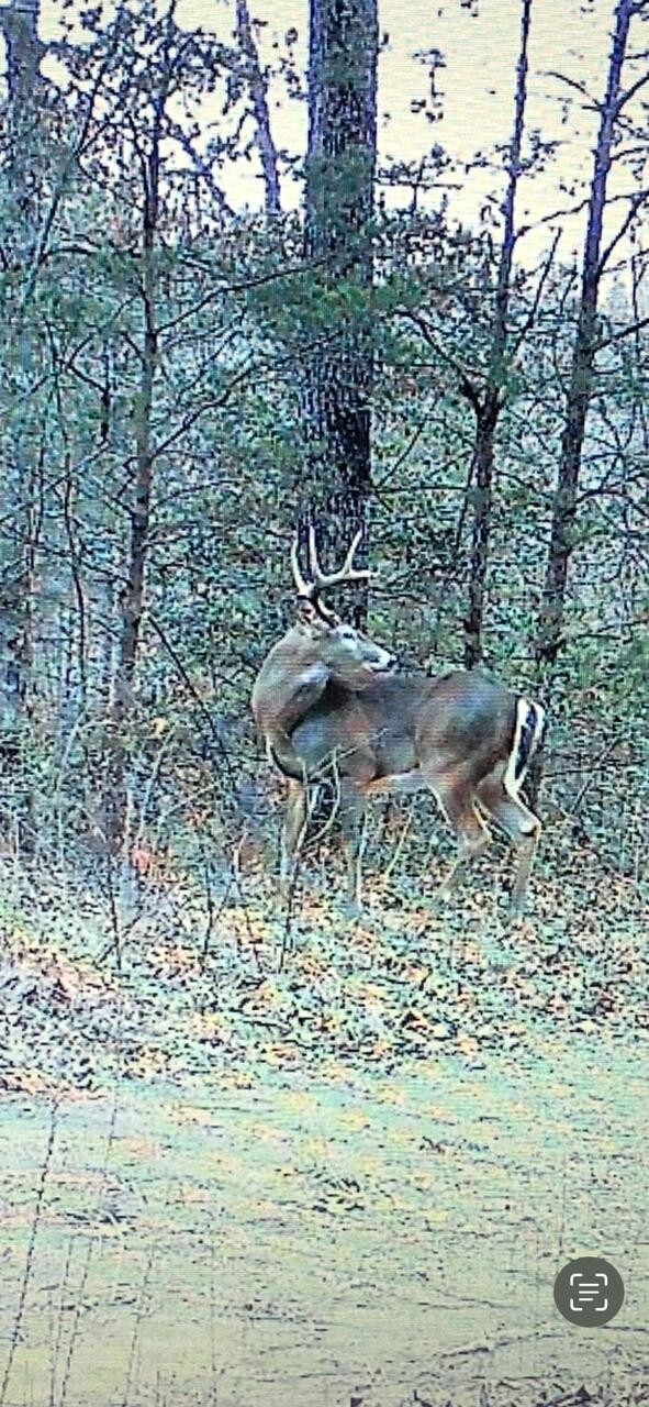 0 Echo Point Road Dunlap TN 37327