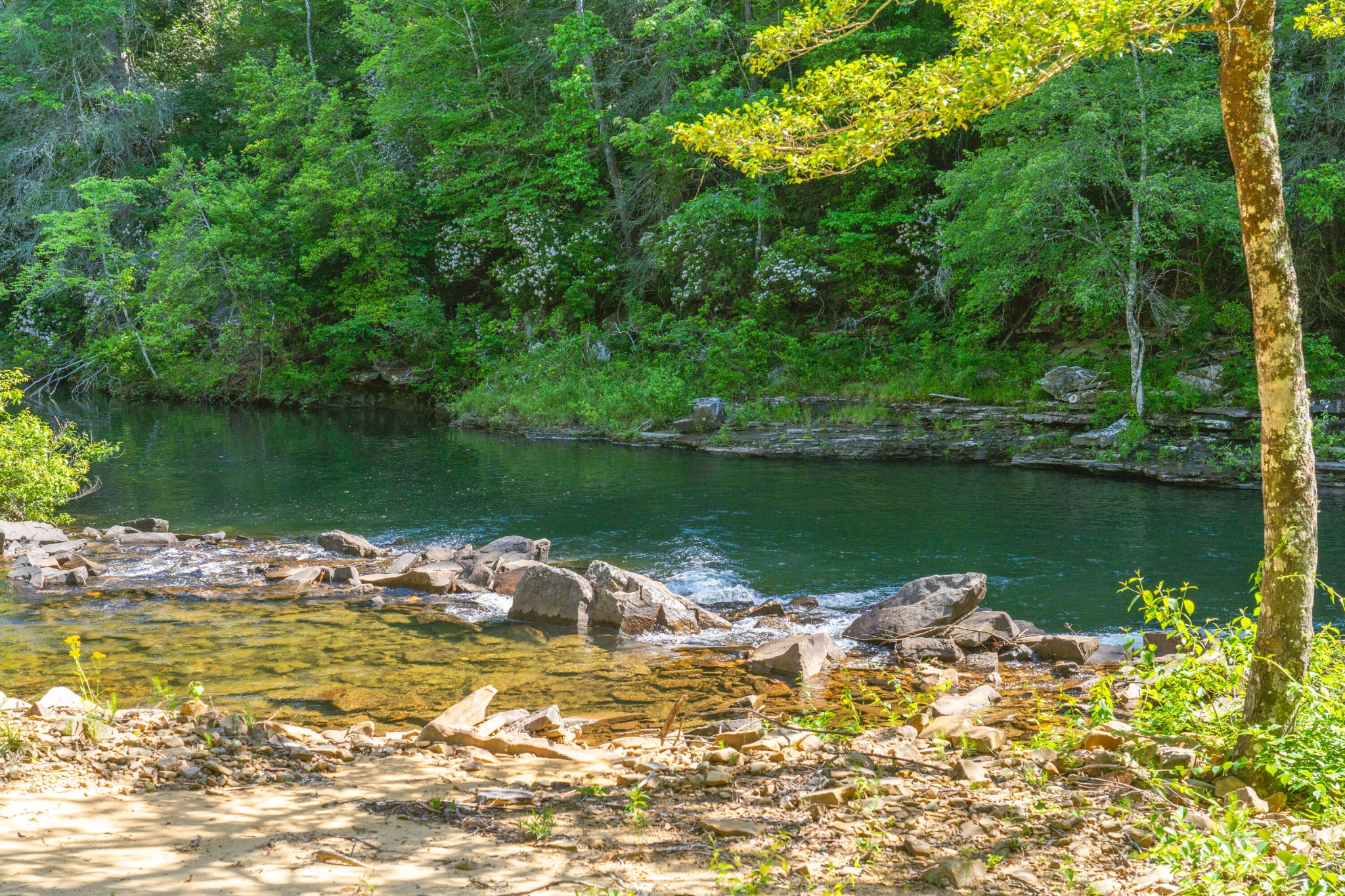 0 Echo Point Road Dunlap TN 37327