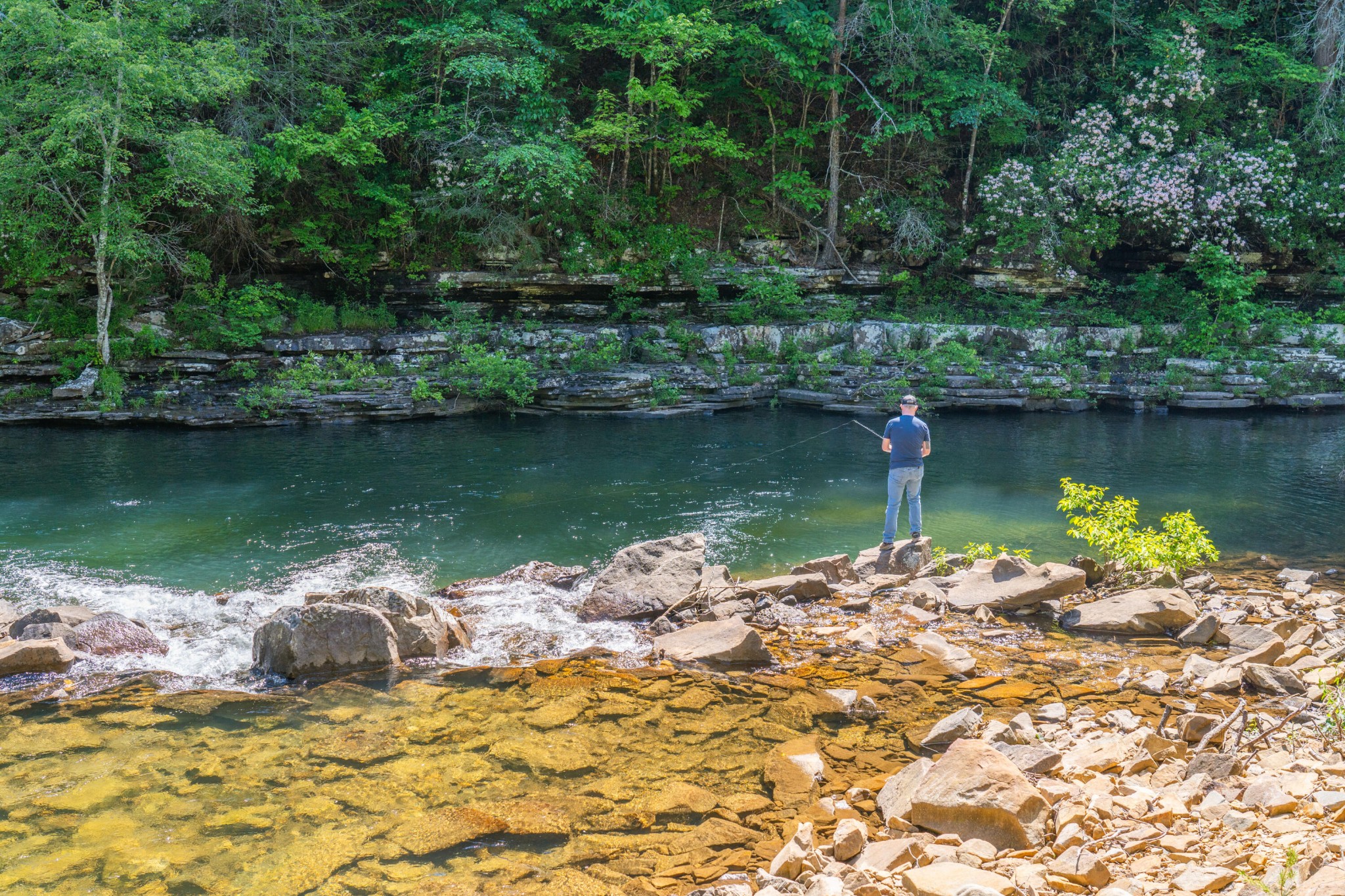 0 Echo Point Road Dunlap TN 37327