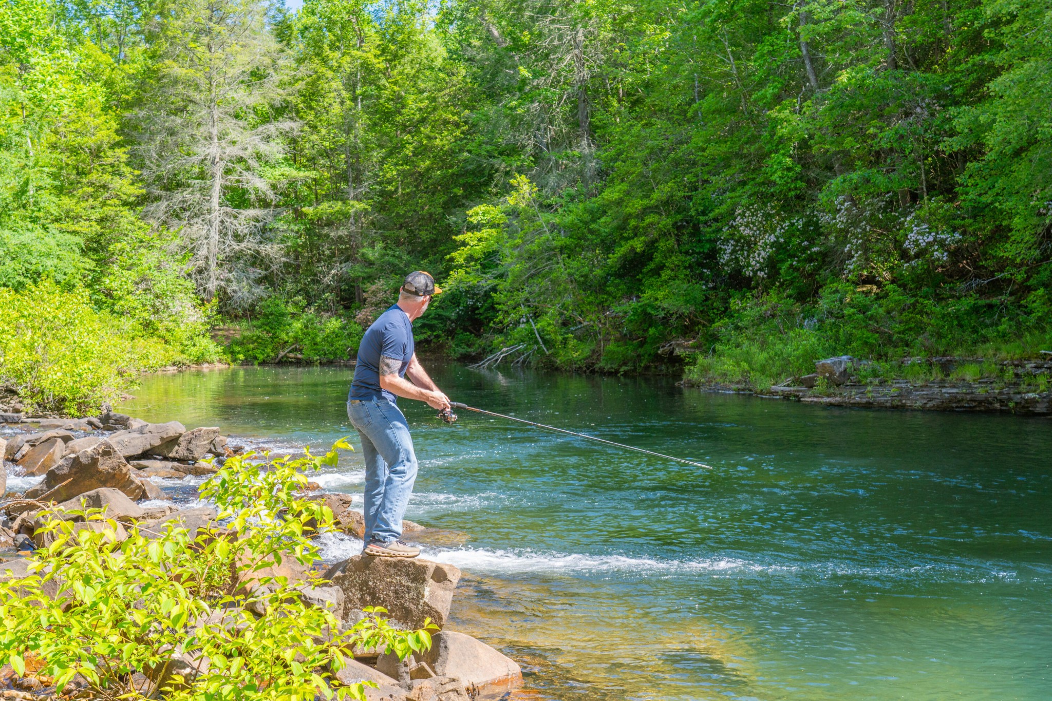 0 Echo Point Road Dunlap TN 37327