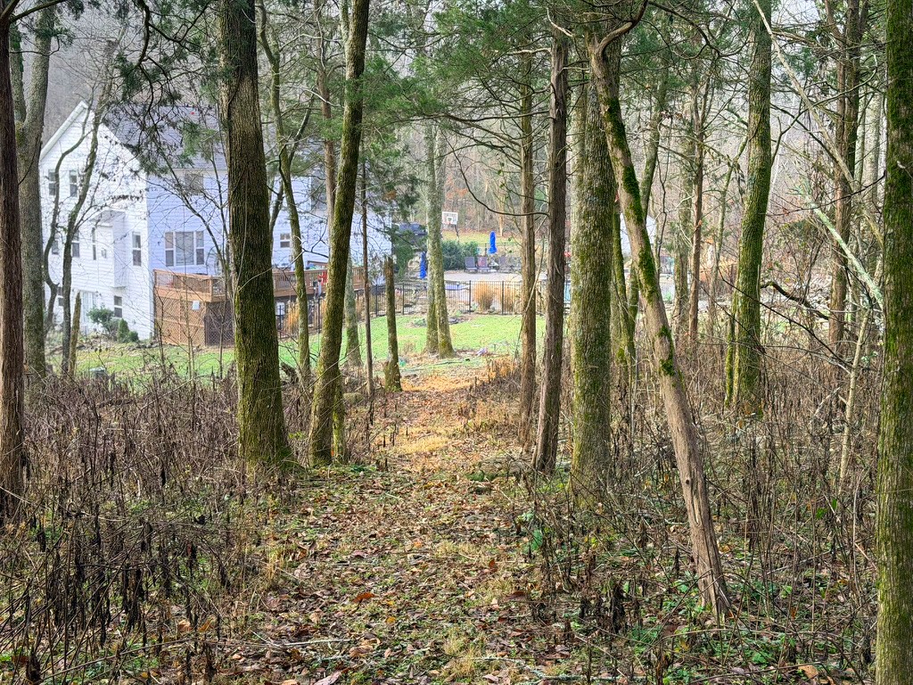 2870 Leonard Creek Lane Arrington TN 37014