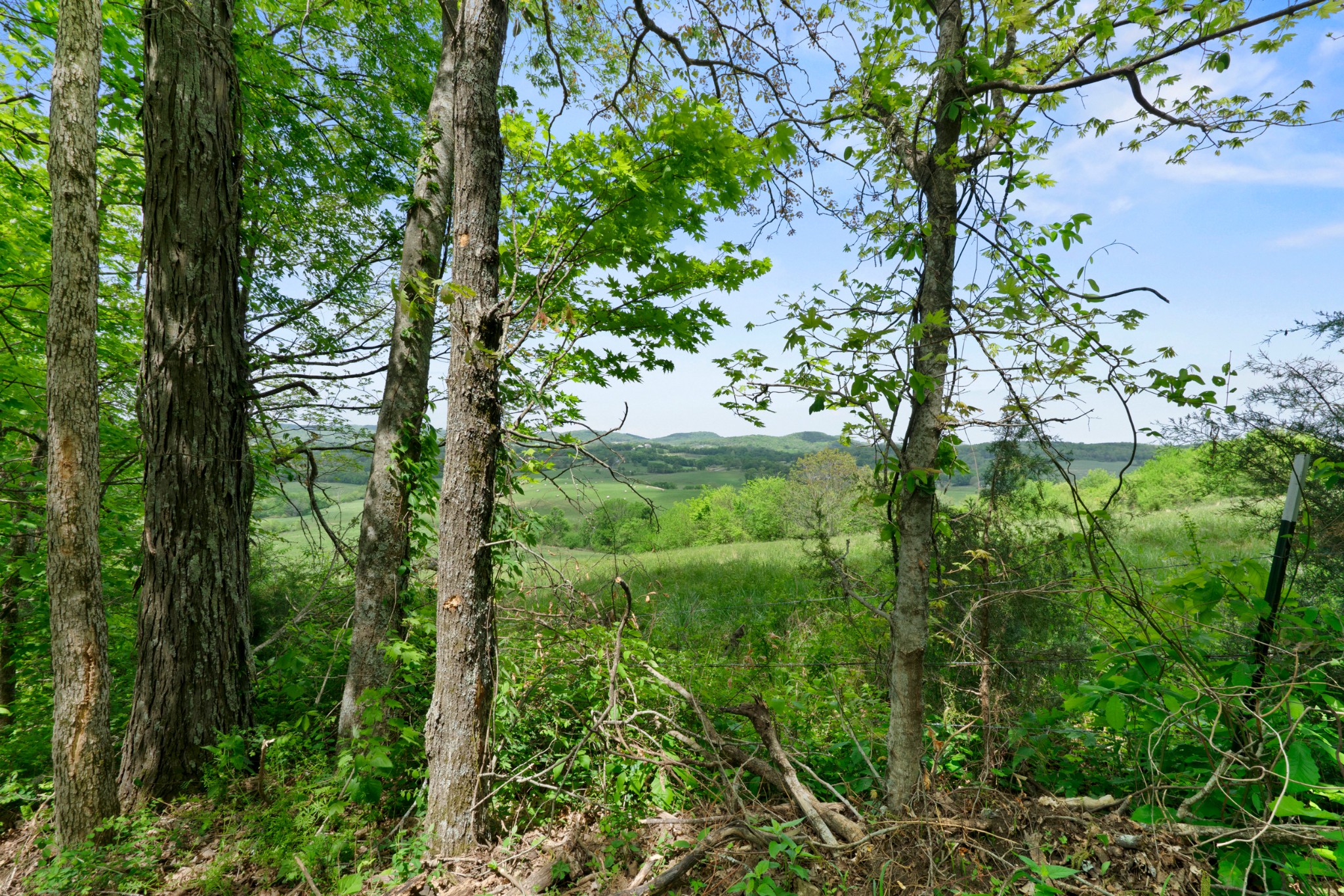 2870 Leonard Creek Lane Arrington TN 37014