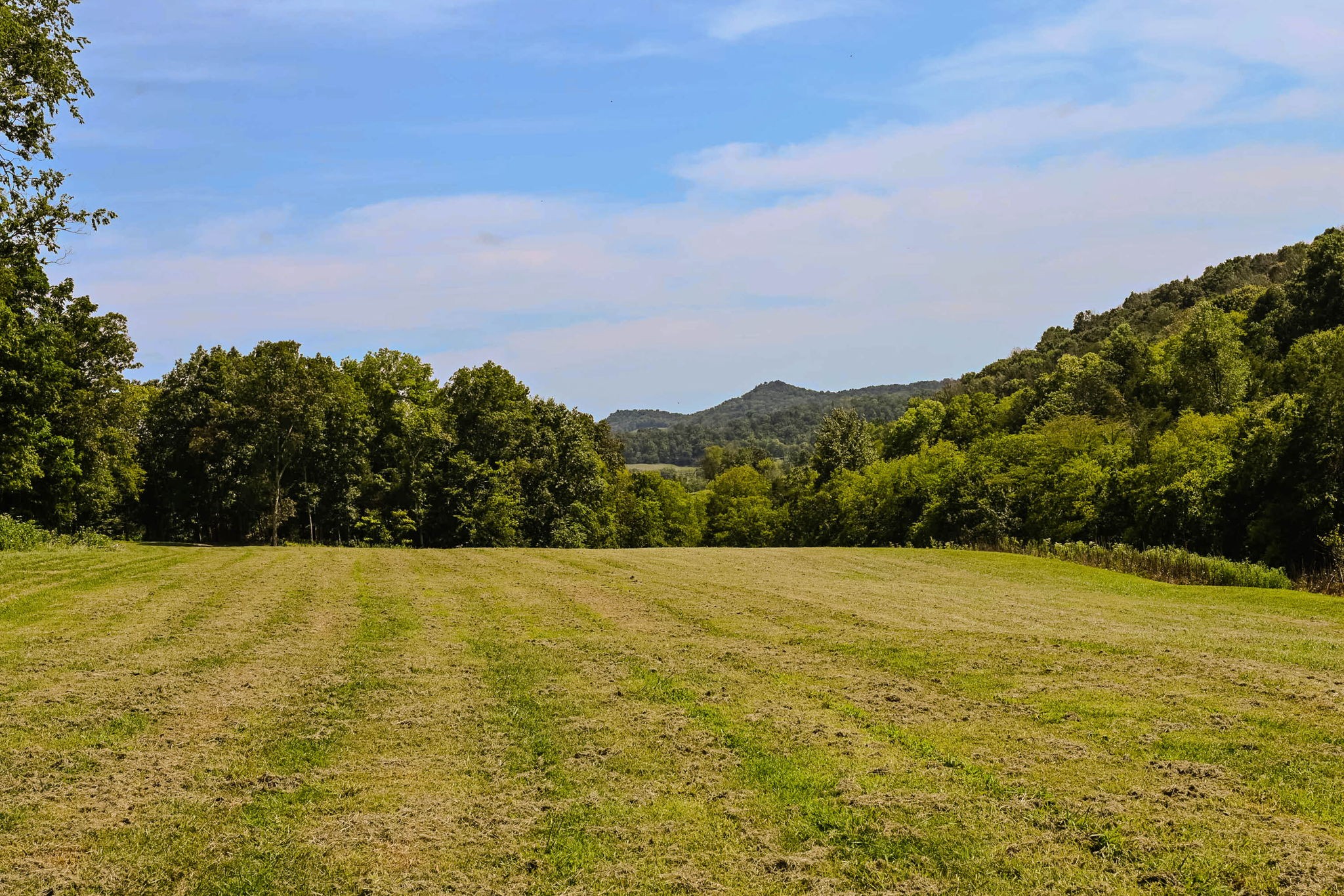 0 John Donald Lane Brush Creek TN 38547