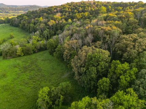 0 John Donald Lane Brush Creek TN 38547