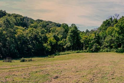 0 John Donald Lane Brush Creek TN 38547