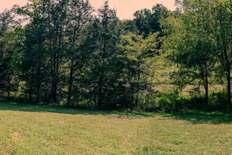 0 John Donald Lane Brush Creek TN 38547