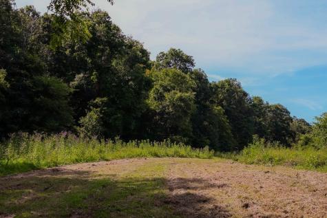 0 John Donald Lane Brush Creek TN 38547
