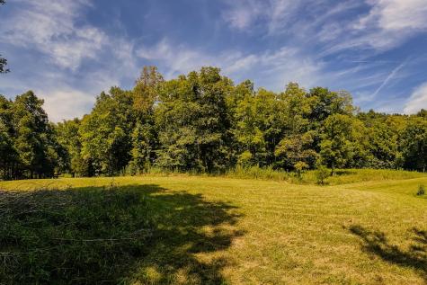 0 John Donald Lane Brush Creek TN 38547