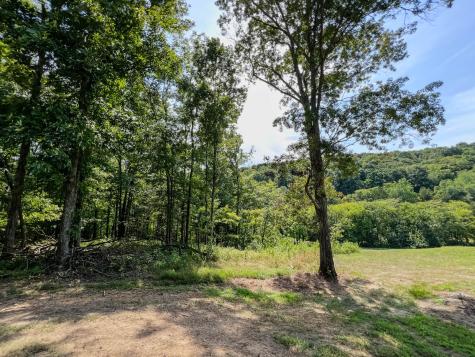 0 John Donald Lane Brush Creek TN 38547