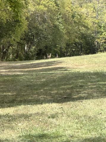 0 John Donald Lane Brush Creek TN 38547