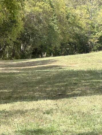 0 John Donald Lane Brush Creek TN 38547