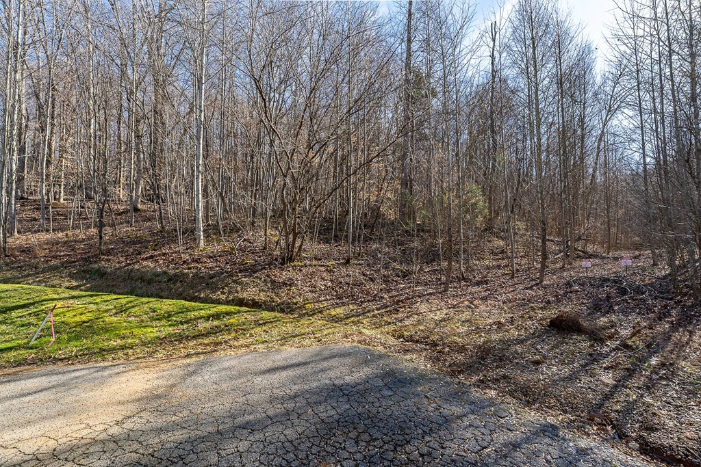 0 Plantation South Drive Cookeville TN 38506