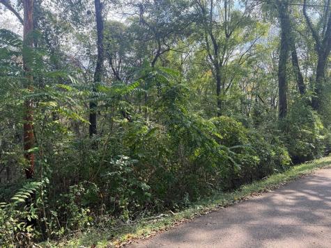 0 Little Street Winchester TN 37398