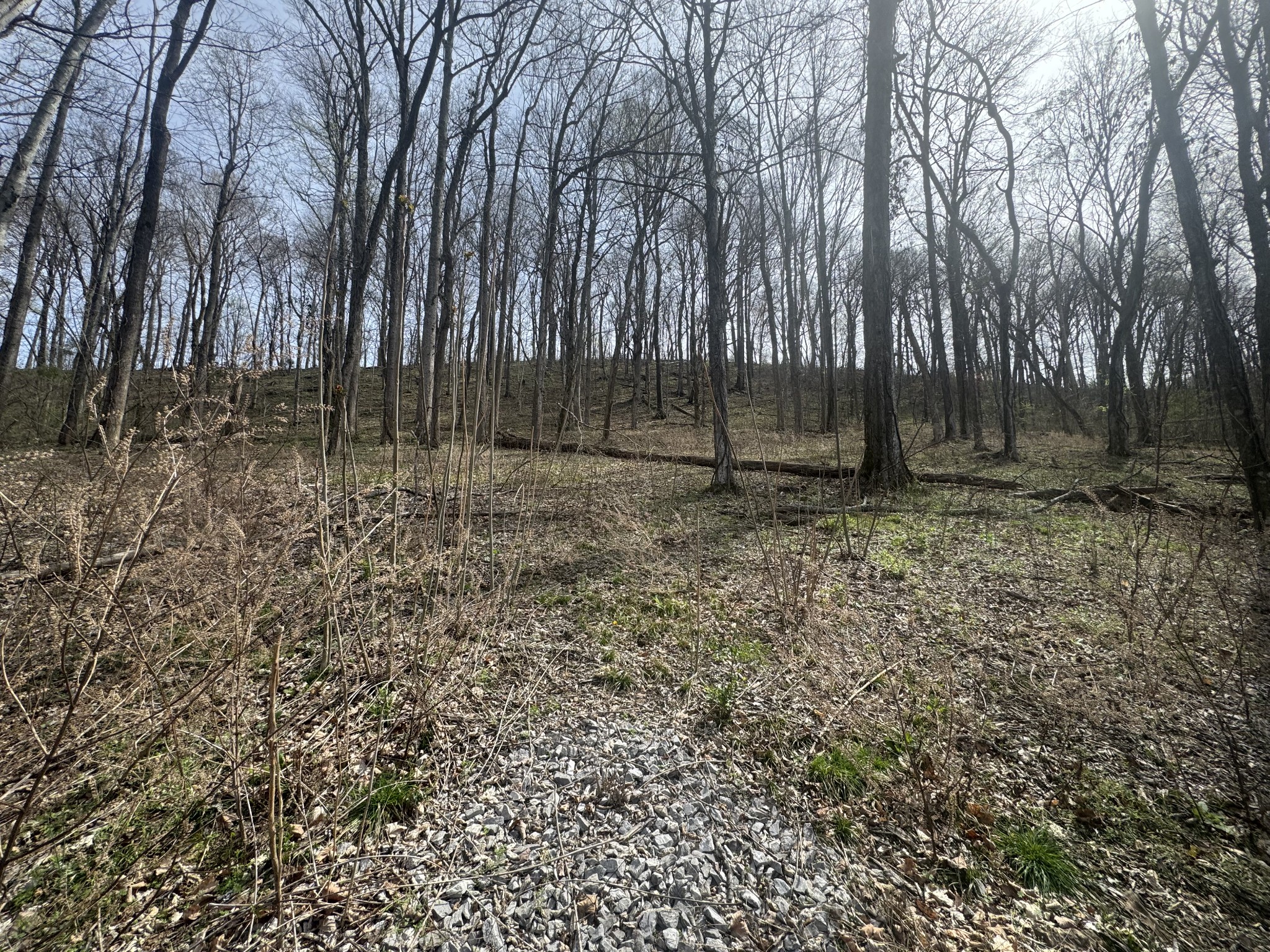 74 Williamson Circle Smithville TN 37166