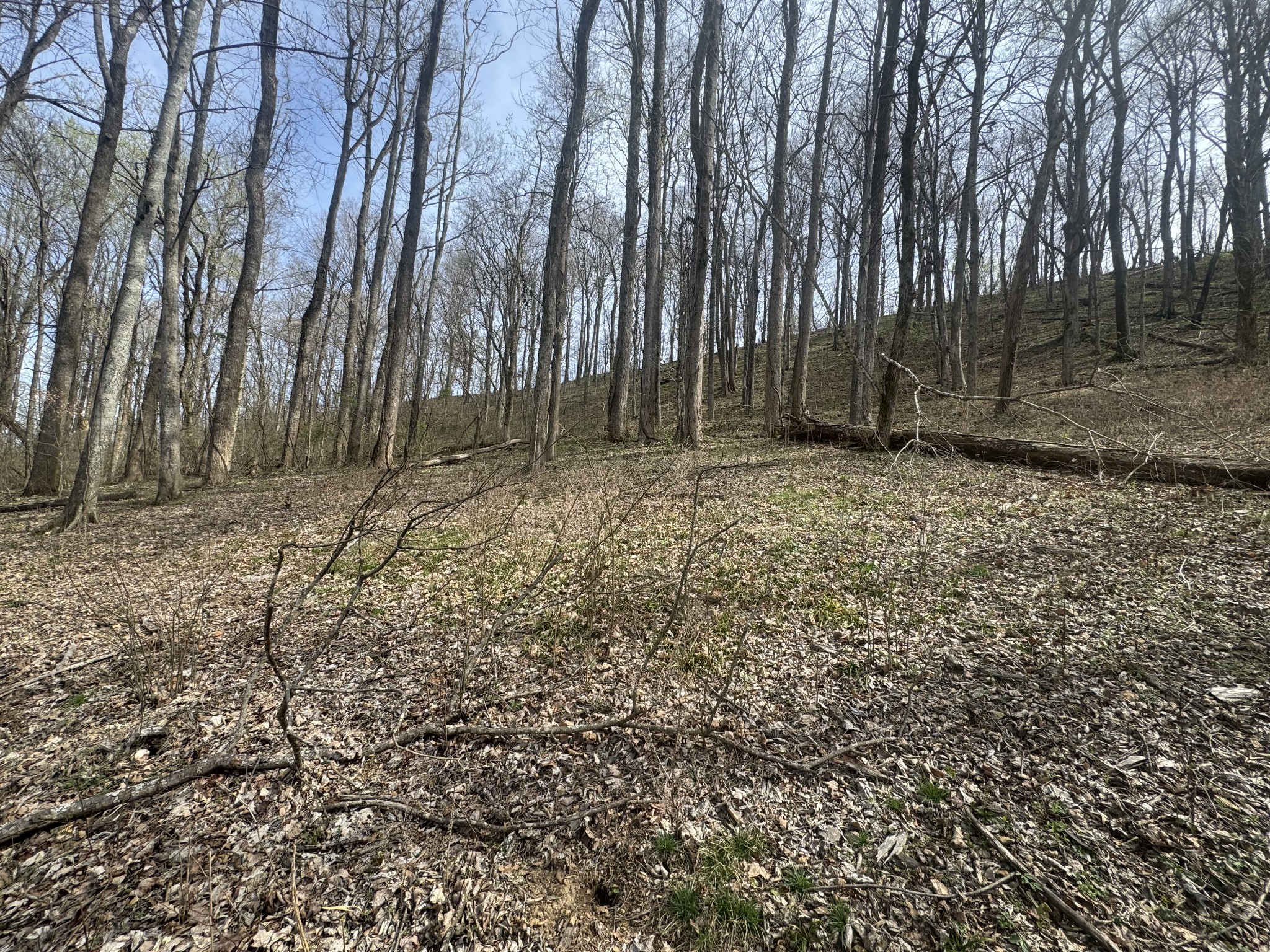 74 Williamson Circle Smithville TN 37166
