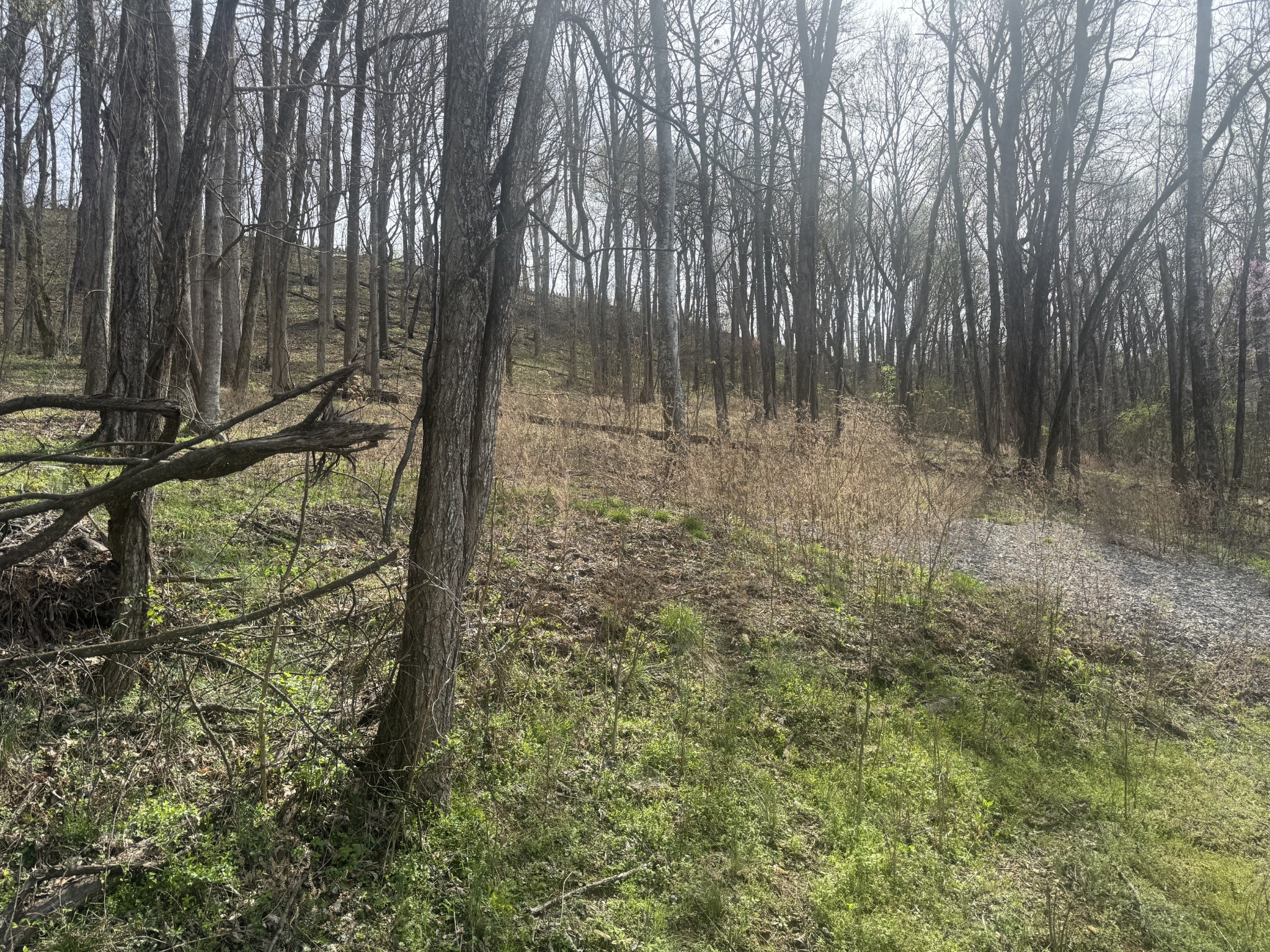 74 Williamson Circle Smithville TN 37166