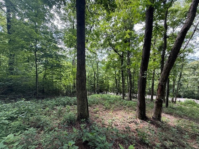 74 Williamson Circle Smithville TN 37166