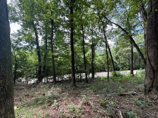 74 Williamson Circle Smithville TN 37166