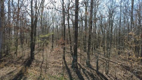 0 Summertown Highway Summertown TN 38483